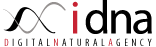 iDNA Web Agency Pisa